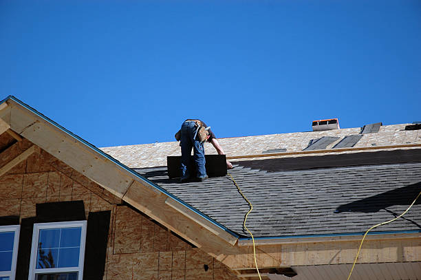 Best Gutter Installation and Roofing  in Muskegon, MI
